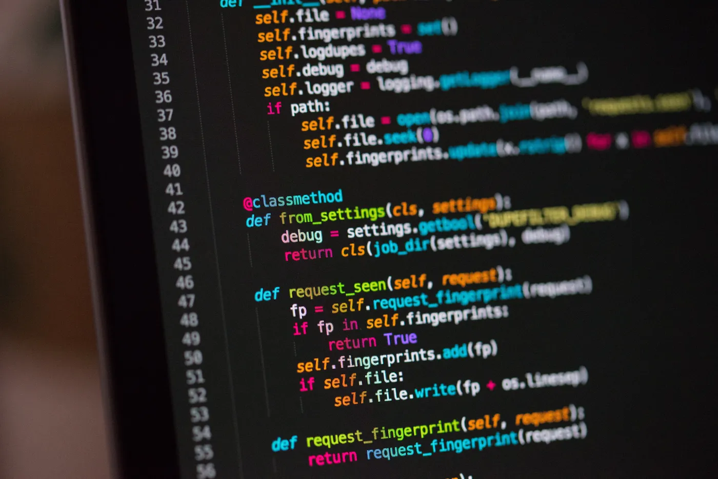 Web Development