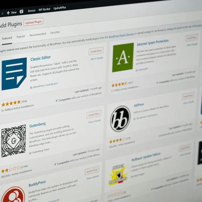 What we provide features